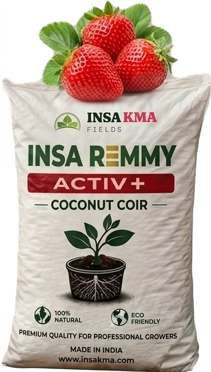 INSA REMMY vreća supstrata sa jagodu