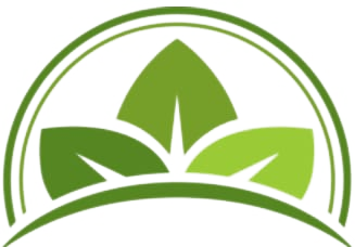 INSA KMA Fields logo
